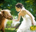 Bride and ponies in park