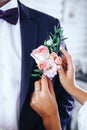 Bride puts groom on boutonniere from roses on wedding day Royalty Free Stock Photo