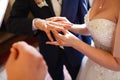 Bride puts a ring on groom's finger delicately Royalty Free Stock Photo