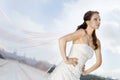 Bride on the road Royalty Free Stock Photo