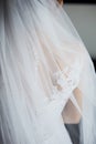 Bride`s beautiful back in wedding dress Royalty Free Stock Photo
