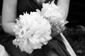 Bride's bouquet Royalty Free Stock Photo