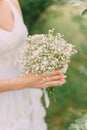 bride's bouquet of white gypsophila in the hands of the bride, an elegant bouquet of white flowers