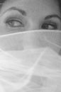 Bride's Eyes Through Veil