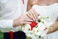 Bride`s and groom`s hands with wedding rings and wedding bouquet Royalty Free Stock Photo