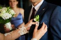 The bride`s hand puts on a boutonniere flower on the groom`s jacket. Royalty Free Stock Photo