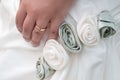 Bride's hand wearing wedding ring Royalty Free Stock Photo