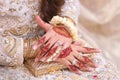 Bride's Hands nice Mehndi Designs