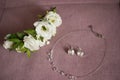 Bride`s jewelry. Necklace, flower barrette, earrings Royalty Free Stock Photo