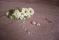 Bride`s jewelry. Necklace, flower barrette, earrings Royalty Free Stock Photo