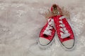 Bride's Red Canvas Shoes with Tiara Royalty Free Stock Photo