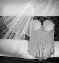 Bride's Wedding Veil with Jewelery and Underwear