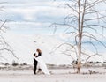 The bride stands on the dried-up stump and hugs the groom on the background of the desert with withered trees Royalty Free Stock Photo