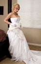 Bride Striptease #4 Royalty Free Stock Photo