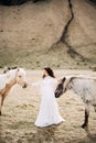 The bride strokes simultaneously two horses. Destination Iceland wedding photo session with Icelandic horses.