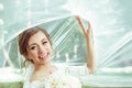 Bride under veil Royalty Free Stock Photo