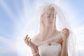 Bride with veil on the face looks at left Royalty Free Stock Photo