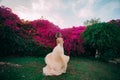 Bride walks among blooming trees and flowers during the honeymoon Royalty Free Stock Photo