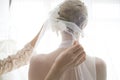 Bride wearing a veil