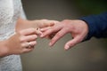 Bride wears a wedding ring on the finger of groom Royalty Free Stock Photo