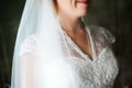 Bride wedding Bridal Veil neck dress Royalty Free Stock Photo