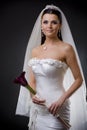 Bride in wedding dress Royalty Free Stock Photo