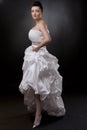 Bride in wedding dress Royalty Free Stock Photo