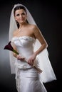 Bride in wedding dress Royalty Free Stock Photo