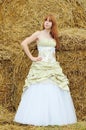 Bride in wedding dress in a field Royalty Free Stock Photo