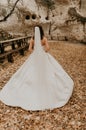 bride in wedding dress run away through autumn forest on fallen orange leaves to mountain Royalty Free Stock Photo