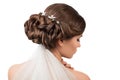 Bride with wedding hairstyle and veil Royalty Free Stock Photo