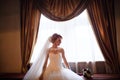 bride.Wedding. Silhouette Royalty Free Stock Photo
