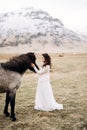 The bride in a white dress and a bouquet in her hands, stroking a horse with a black mane in the face, in a field of Royalty Free Stock Photo