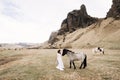 The bride in a white dress and a bouquet in her hands, stroking a horse with a black mane in the face, in a field of Royalty Free Stock Photo