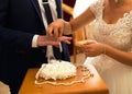 Bride in white dress putting a wedding ring on the finger of her bridegroom in suit. Royalty Free Stock Photo