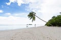 The bride in a white dress stands in the distance under a palm tree on a snow-white beach. Wedding on a tropical island