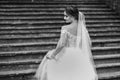 Bride in a white wedding dress, back view, wedding day Royalty Free Stock Photo