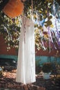 Bride white wedding dress hanging in a tree Royalty Free Stock Photo