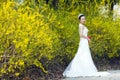 A bride with white wedding dress stand by Golden jasmine flowers Royalty Free Stock Photo