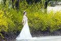 A bride with white wedding dress stand by Golden jasmine flowers Royalty Free Stock Photo