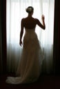 Bride at Window Royalty Free Stock Photo
