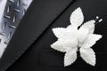 Bridegroom and buttonhole Royalty Free Stock Photo