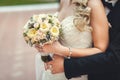 The bridegroom embraces the bride`s waist, a wedding bouquet in her hands, close-up, in focus a bouquet, a blurry background Royalty Free Stock Photo