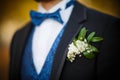 Bridegroom preparing for the wedding Royalty Free Stock Photo