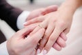 The bridegroom puts the wedding ring on the bride close up. The bride puts the bridegroom on the wedding ring Royalty Free Stock Photo