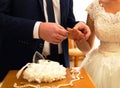 Bridegroom in suit putting a wedding ring on the finger of his bride in white dress. Royalty Free Stock Photo