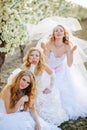 Brides Royalty Free Stock Photo