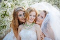 Brides Royalty Free Stock Photo