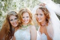 Brides Royalty Free Stock Photo