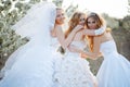 Brides Royalty Free Stock Photo